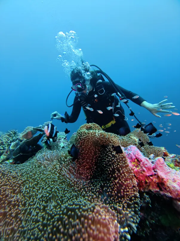 Wangi-Wangi Coastal Discovery